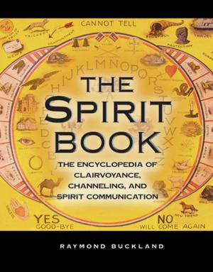 Book cover of The Spirit Book