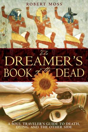 Cover of the book The Dreamer's Book of the Dead by Roger Golden Brown