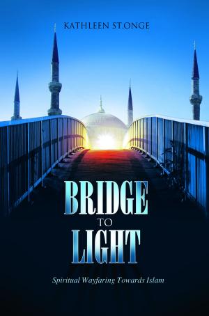 Cover of the book Bridge To Light by Thomas Michel