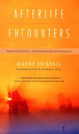 bigCover of the book Afterlife Encounters: Ordinary People, Extraordinary Experiences by 