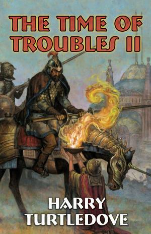 Cover of the book The Time of Troubles II by Poul Anderson