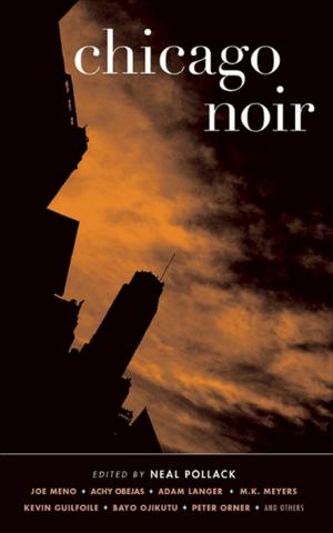 Cover of the book Chicago Noir by Eric Charles May