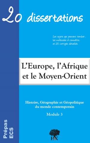 Cover of Géodynamique continentale de l'Europe, de l'Afrique, du Proche et du Moyen-Orient