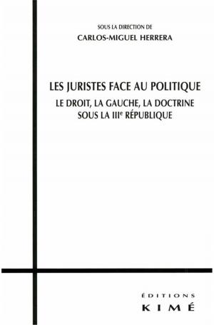 Cover of the book LES JURISTES FACE AU POLITIQUE by DOURY MARIANNE