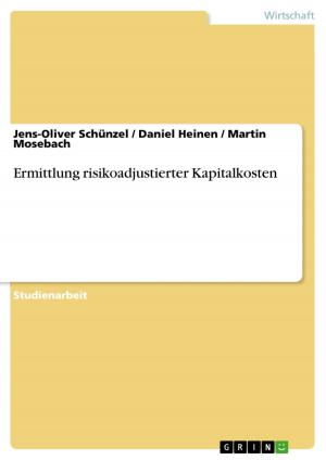 Cover of the book Ermittlung risikoadjustierter Kapitalkosten by Daniel Schmidt