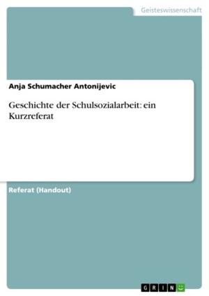 Book cover of Geschichte der Schulsozialarbeit: ein Kurzreferat