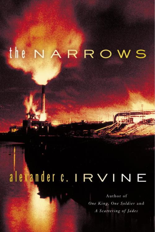 Cover of the book The Narrows by Alex Irvine, Random House Publishing Group
