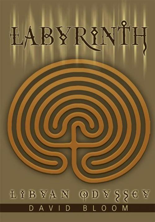 Cover of the book Labyrinth by David Bloom, iUniverse