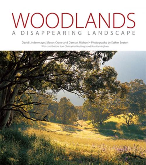 Cover of the book Woodlands by David Lindenmayer, Mason Crane, Damian Michael, Esther Beaton, CSIRO PUBLISHING