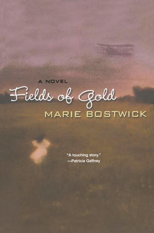 Cover of the book Fields Of Gold by Marie Bostwick, Kensington Books