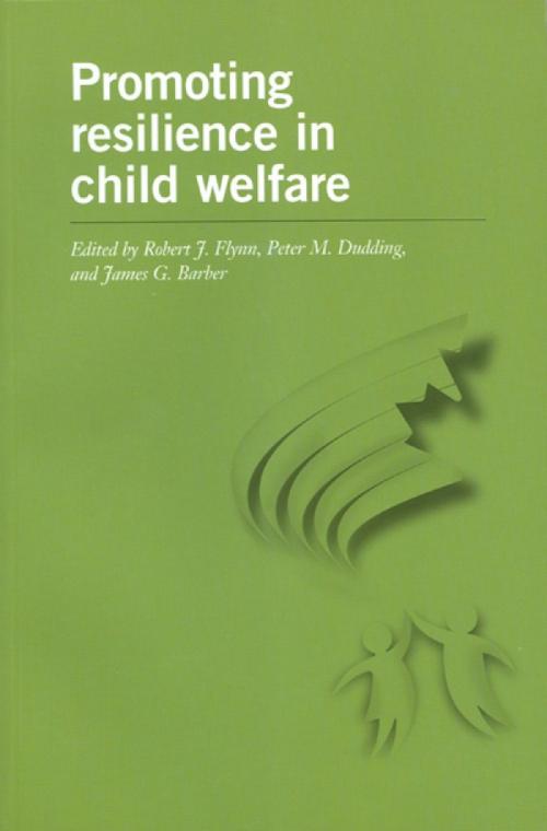 Cover of the book Promoting Resilience in Child Welfare by , University of Ottawa Press