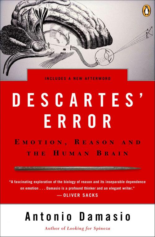Cover of the book Descartes' Error by Antonio Damasio, Penguin Publishing Group
