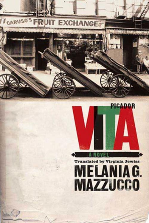 Cover of the book Vita by Melania G. Mazzucco, Farrar, Straus and Giroux