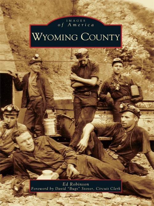Cover of the book Wyoming County by Ed Robinson, Arcadia Publishing Inc.