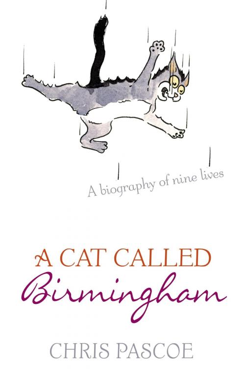 Cover of the book A Cat Called Birmingham by Chris Pascoe, Hodder & Stoughton