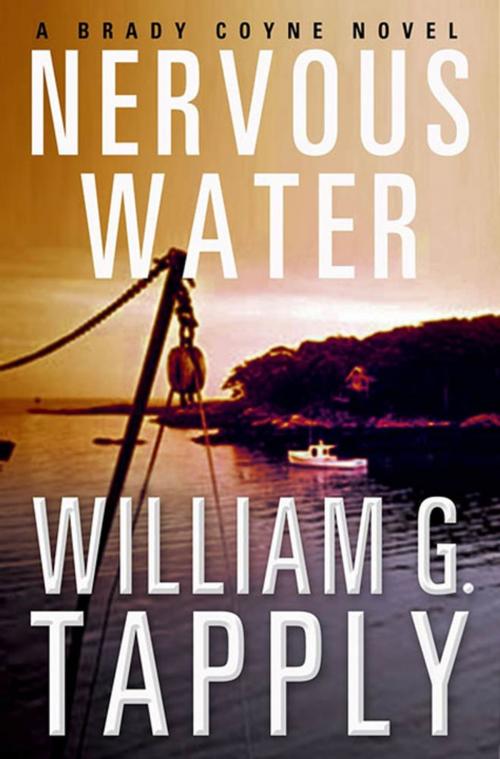 Cover of the book Nervous Water by William G. Tapply, St. Martin's Press