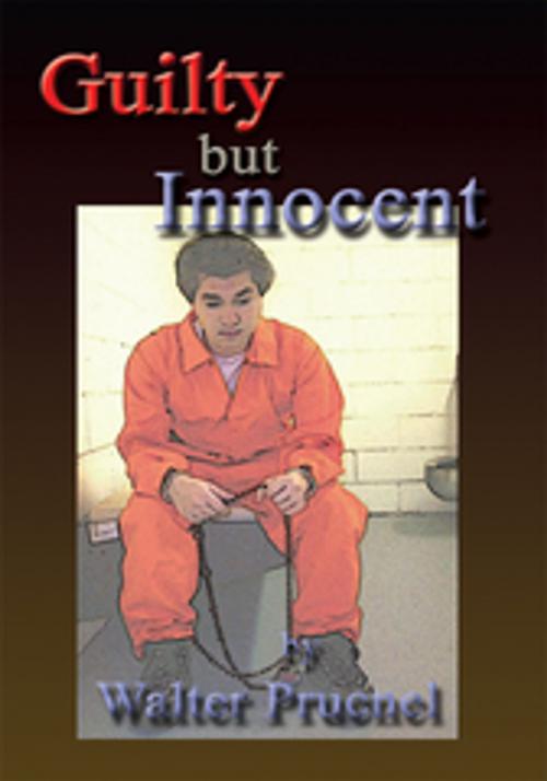Cover of the book Guilty but Innocent by Walter Prucnel, Xlibris US