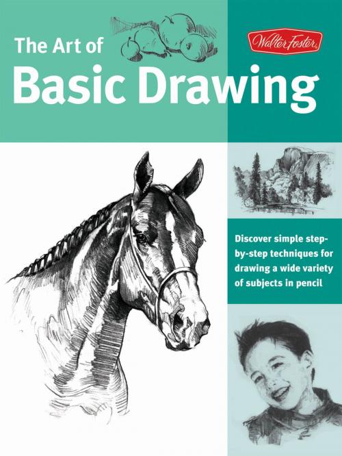 Cover of the book Art of Basic Drawing by Walter Foster Creative Team, Walter Foster
