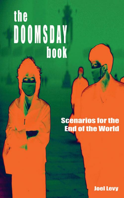 Cover of the book The Doomsday Book: Scenarios for the End of the World by Joel Levy, Summersdale Publishers Ltd