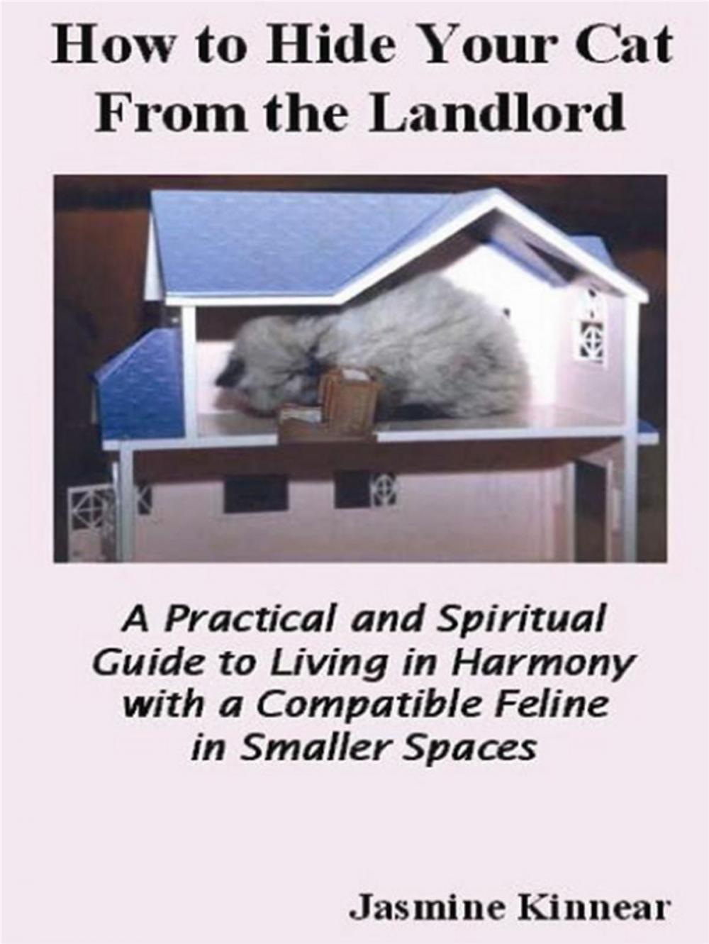 Big bigCover of How To Hide Your Cat From The Landlord: A Practical And Spiritual Guide To Living In Harmony With A Compatible Feline In Smaller Spaces