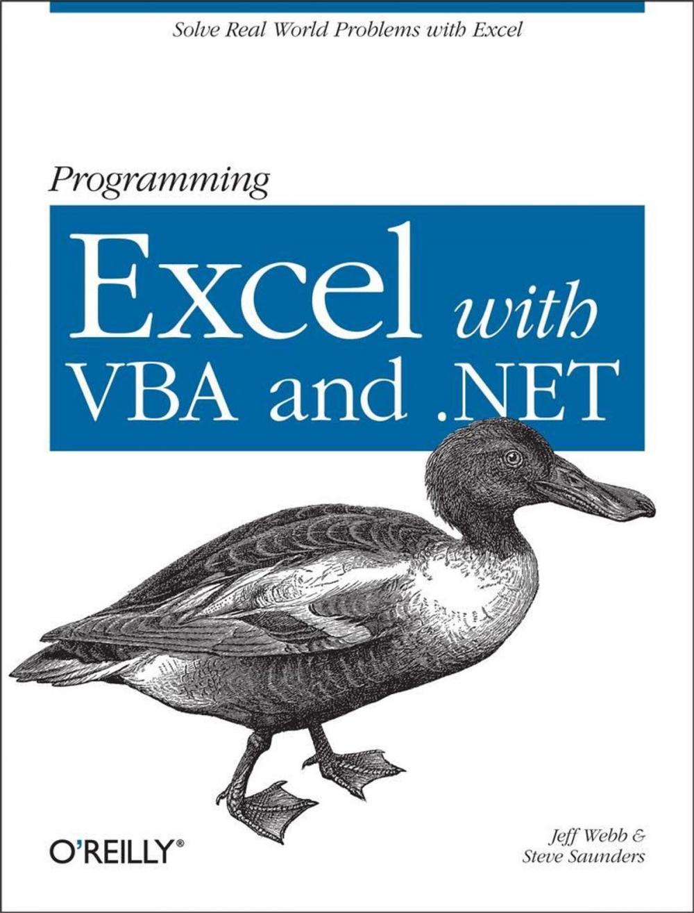 Big bigCover of Programming Excel with VBA and .NET