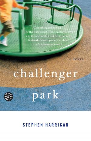Cover of the book Challenger Park by 