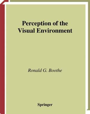 Cover of the book Perception of the Visual Environment by Lucien J. Breems, Fabio Sebastiano, Kofi A Makinwa