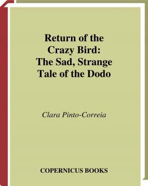 Cover of the book Return of the Crazy Bird by Boris V. Somov