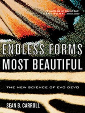 Book cover of Endless Forms Most Beautiful: The New Science of Evo Devo