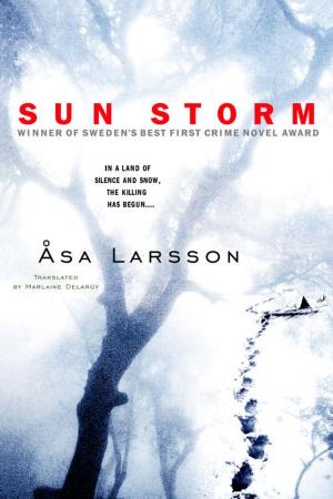 Cover of the book Sun Storm by Charles Todd
