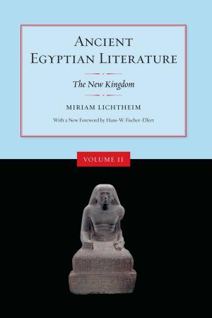 Cover of the book Ancient Egyptian Literature, Volume II by Andrew B. Kipnis