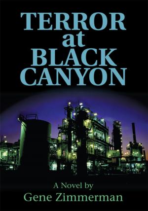 Cover of the book Terror at Black Canyon by Les Bryan