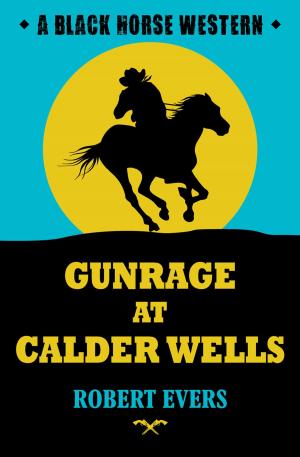 Book cover of Gunrage at Calder Wells