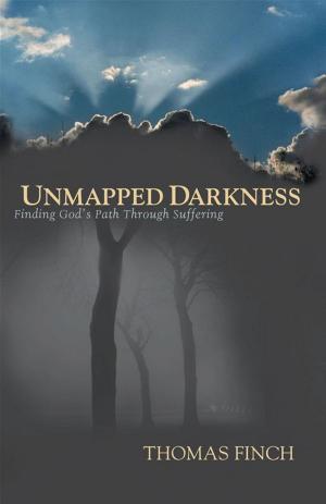 bigCover of the book Unmapped Darkness: Finding God's Path Through Suffering by 