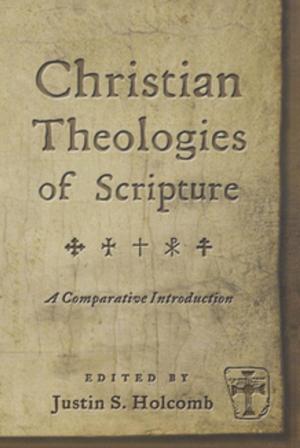 Cover of the book Christian Theologies of Scripture by Sarah Projansky