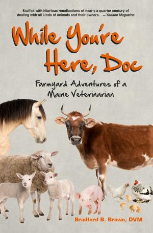 Cover of the book While You're Here, Doc: Farmyard Adventures of a Maine Veterinarian by Elizabeth Gilbert, Richard Blanco, Jonathan Lethem, Bill Roorbach, Richard Russo, Ann Beattie, Lily King, Monica Wood, Dave Eggers