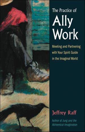 Cover of the book The Practice of Ally Work by Christeen H. Skinner