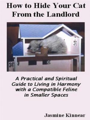 Cover of the book How To Hide Your Cat From The Landlord: A Practical And Spiritual Guide To Living In Harmony With A Compatible Feline In Smaller Spaces by C. Gale Perkins