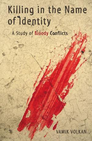 Cover of the book Killing in the Name of Identity by John Loftus