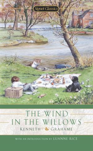 Cover of the book The Wind in the Willows by Carrie Stuart Parks, Rick Parks