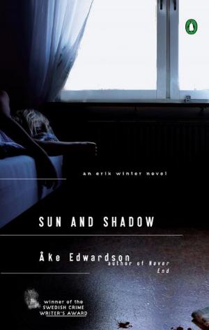 Cover of the book Sun and Shadow by Fanny Fern, Susan Belasco