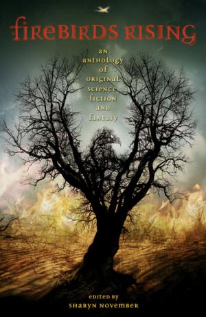 Cover of the book Firebirds Rising by Jennifer Anne Davis