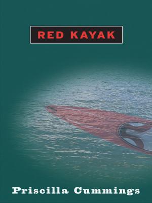 Cover of the book Red Kayak by Kersten Hamilton