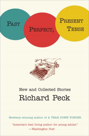 Cover of the book Past Perfect, Present Tense by Meredith Zeitlin