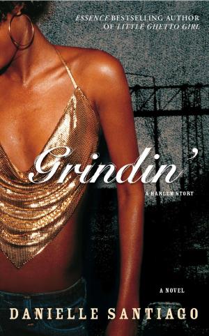 Cover of the book Grindin' by Lloyd Boston