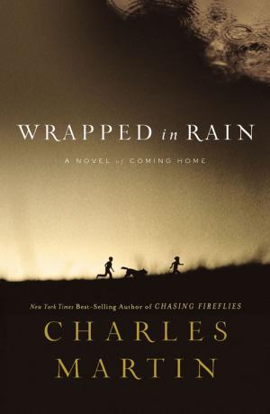 bigCover of the book Wrapped in Rain by 