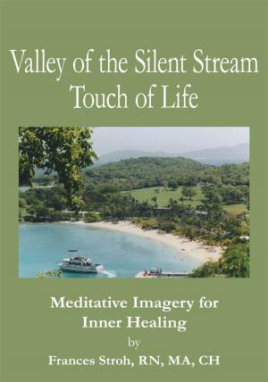Cover of the book Valley of the Silent Stream Touch of Life by Benjamin Whitcomb