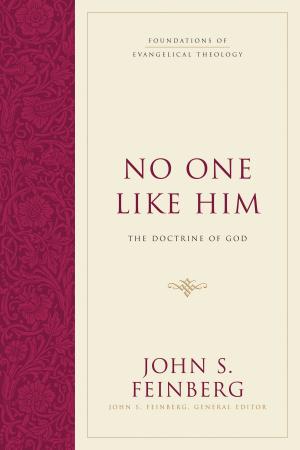 Book cover of No One Like Him