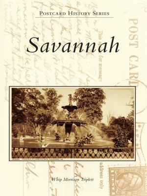 Cover of the book Savannah by Ersula Knox Odom