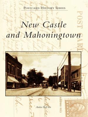 Book cover of New Castle and Mahoningtown